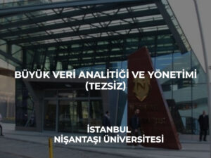 büyük_veri_analitiği_ve_denetimi-tezsiz_nişantaşı_üniversitesi