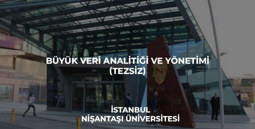 büyük_veri_analitiği_ve_denetimi-tezsiz_nişantaşı_üniversitesi